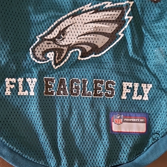 SOLD**NFL Eagles Dog Jersey - Teal and White - Picture 6 of 6